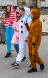 Carnival Walkers