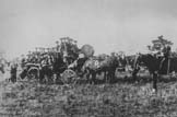 Dan Bunt's Bus with St.Dennis Band